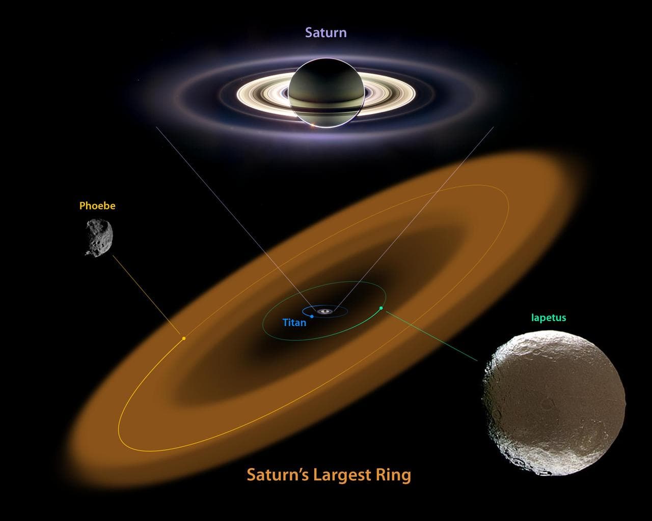The King of Rings Artist Concept