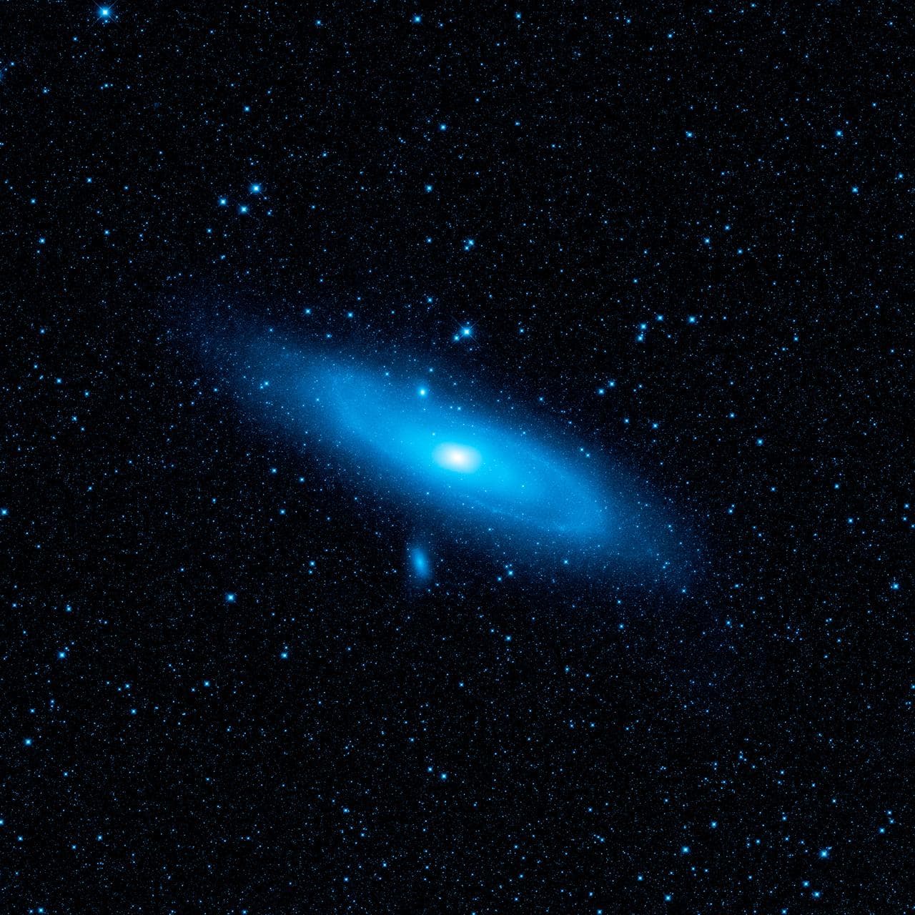 Warped Andromeda