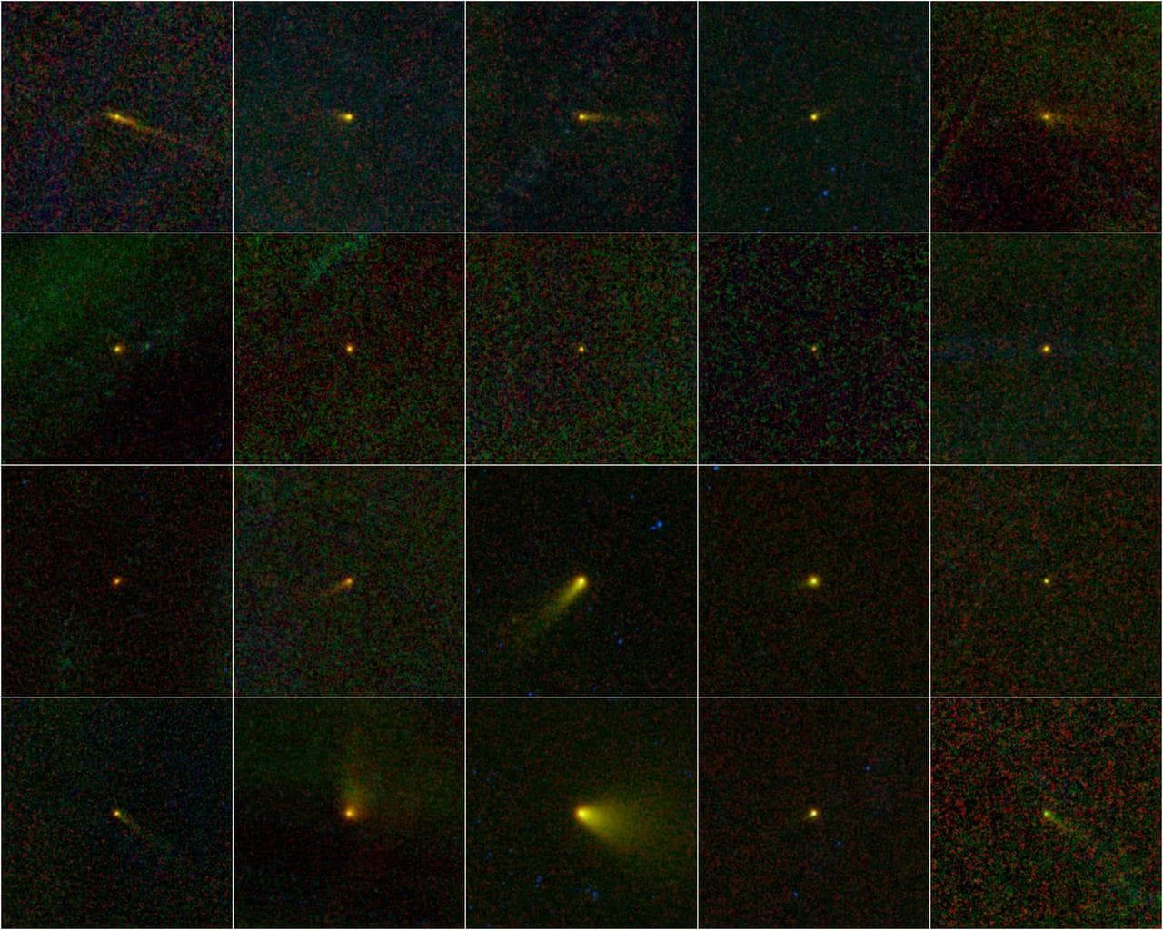 Comets WISE -- A Family Portrait