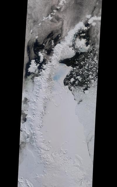 NASA MISR Tracks Growth of Rift in the Larsen C Ice Shelf