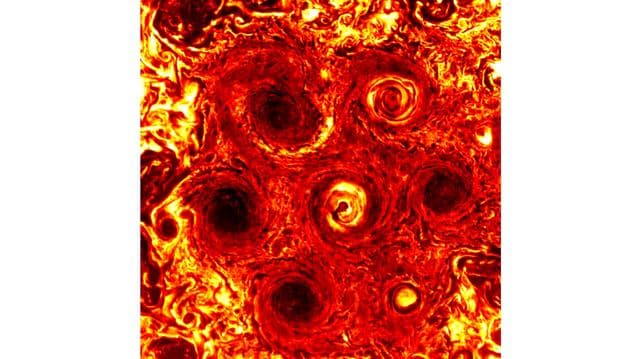 A New Cyclone Joins the Jovian Fray