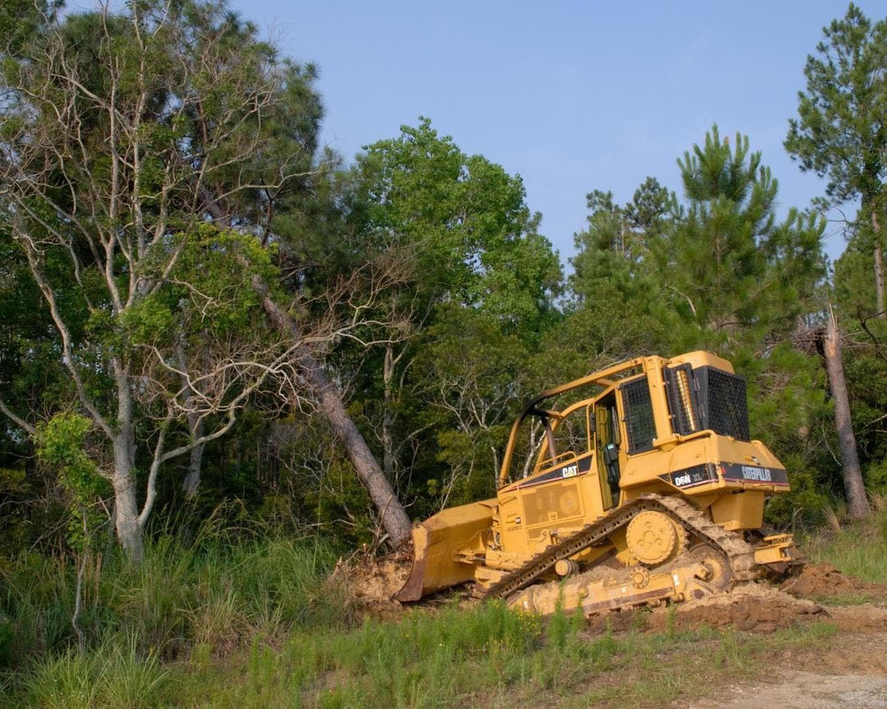 A-3 First Tree Cutting