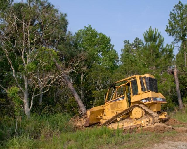 A-3 First Tree Cutting