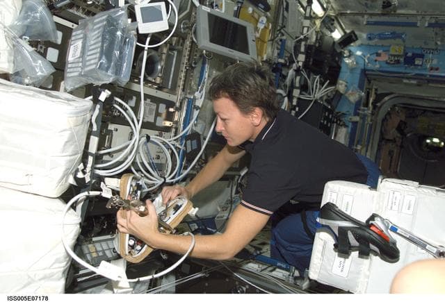 Whitson works at the MSG in the U.S. Laboratory during Expedition Five