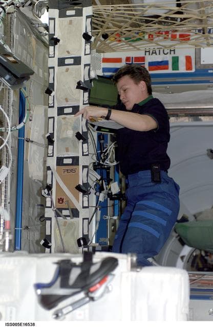 Whitson works in the U.S. Laboratory during Expedition Five on the ISS