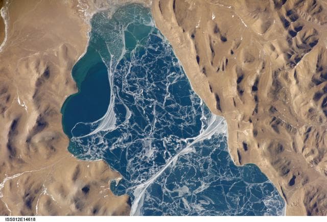Portion, lake, puma