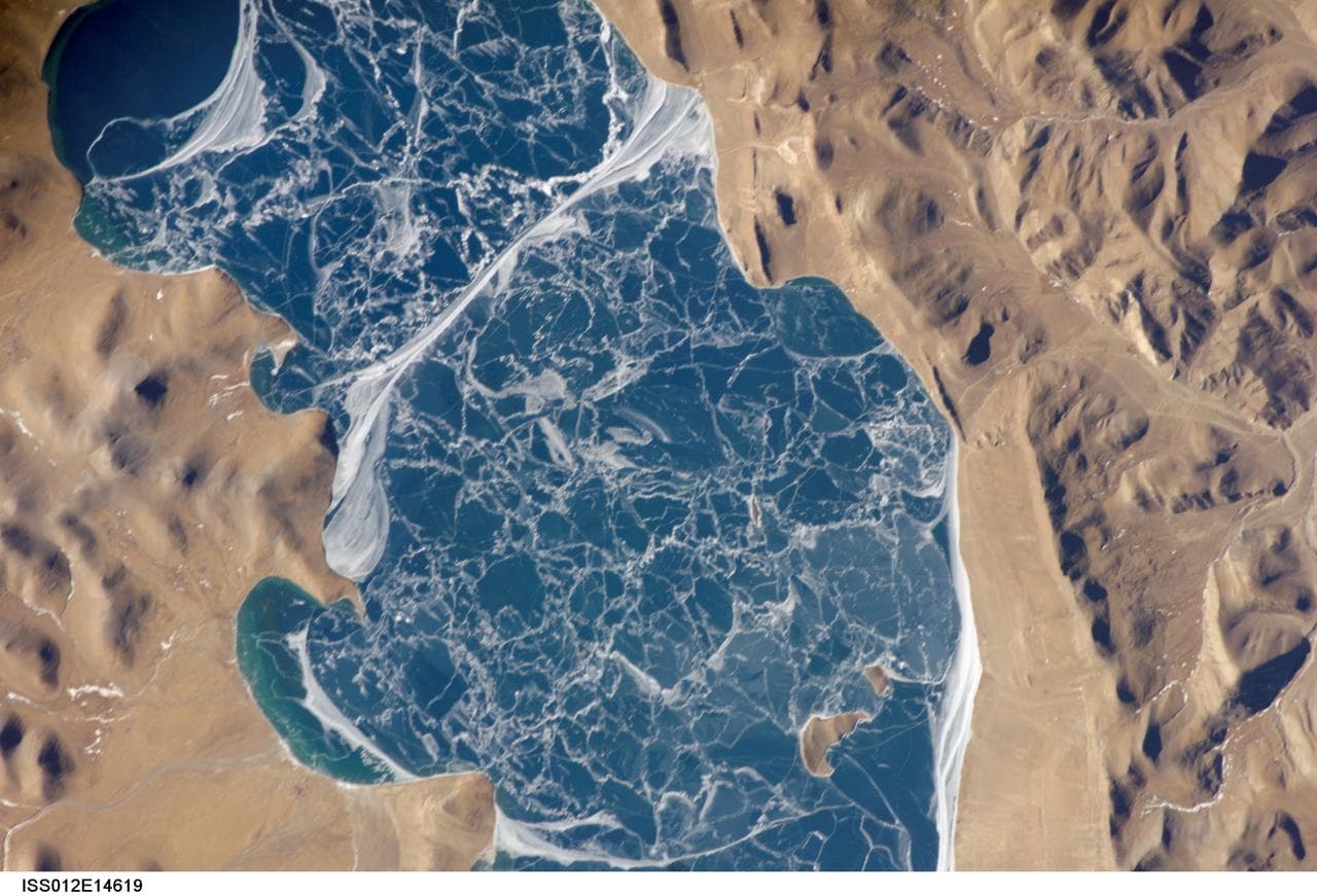 Portion, lake, puma