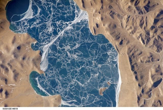 Portion, lake, puma