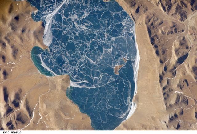 Portion, lake, puma