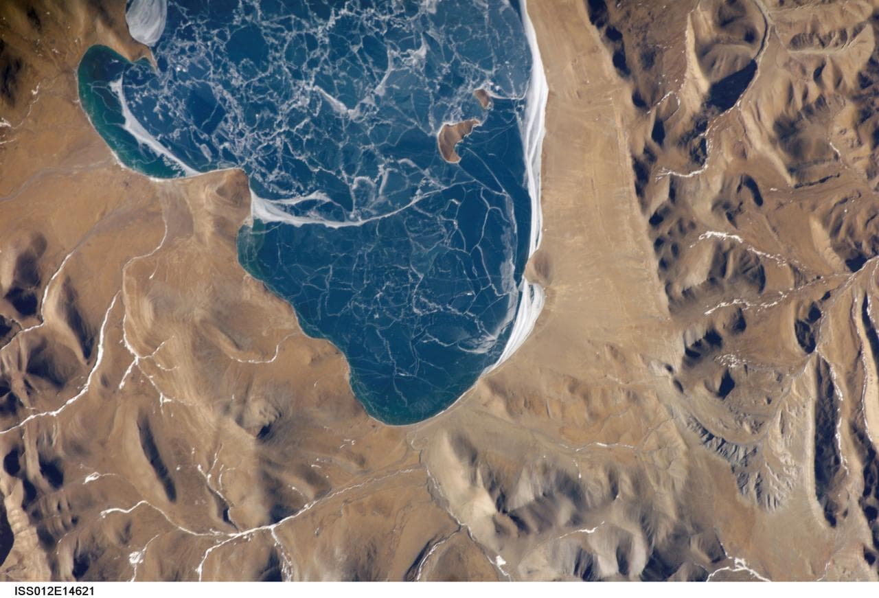 Portion, lake, puma