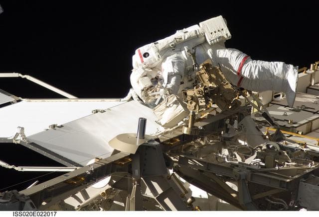 July, astronauts, dave
