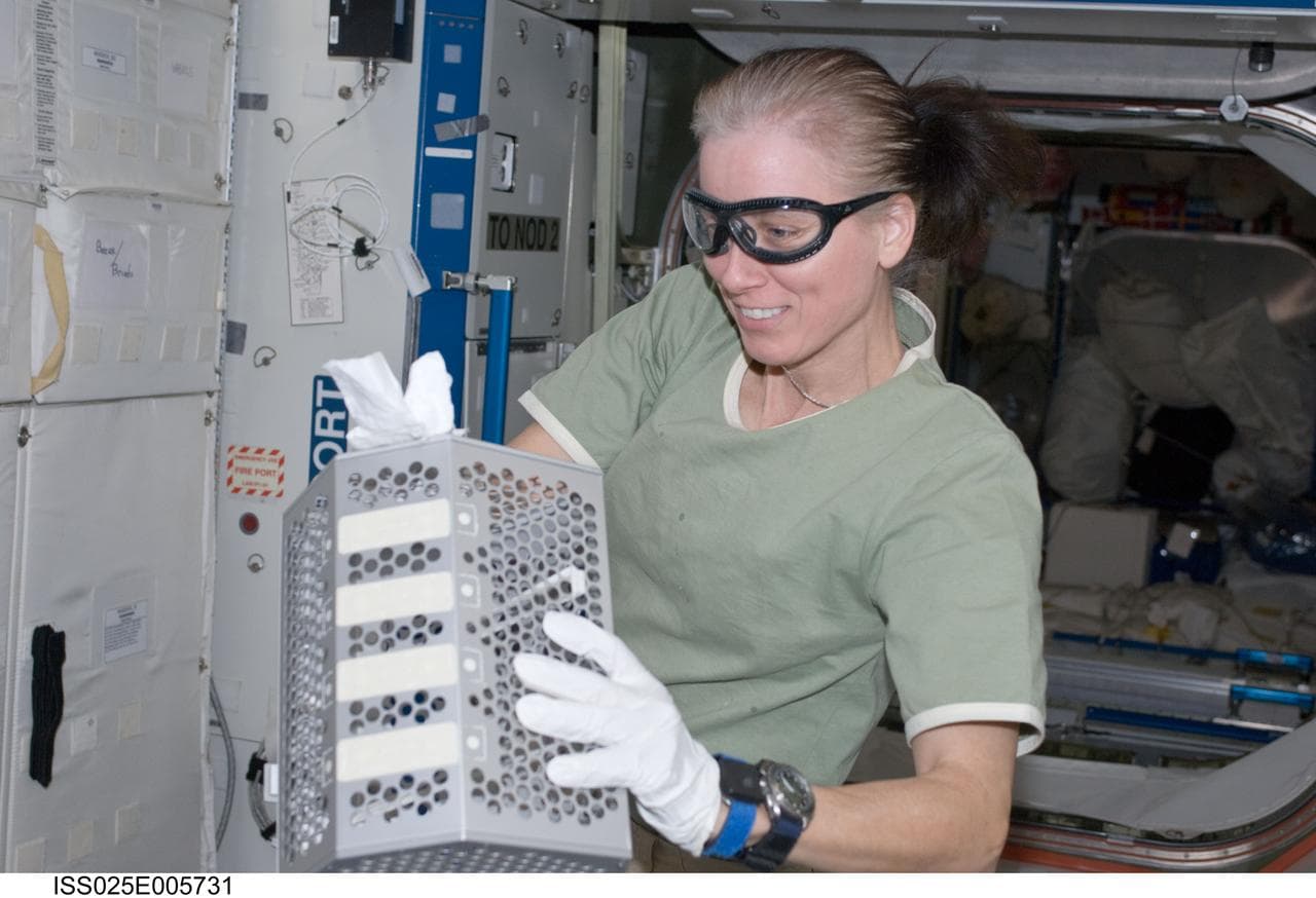 Walker with MELFI-2 in U.S. Laboratory