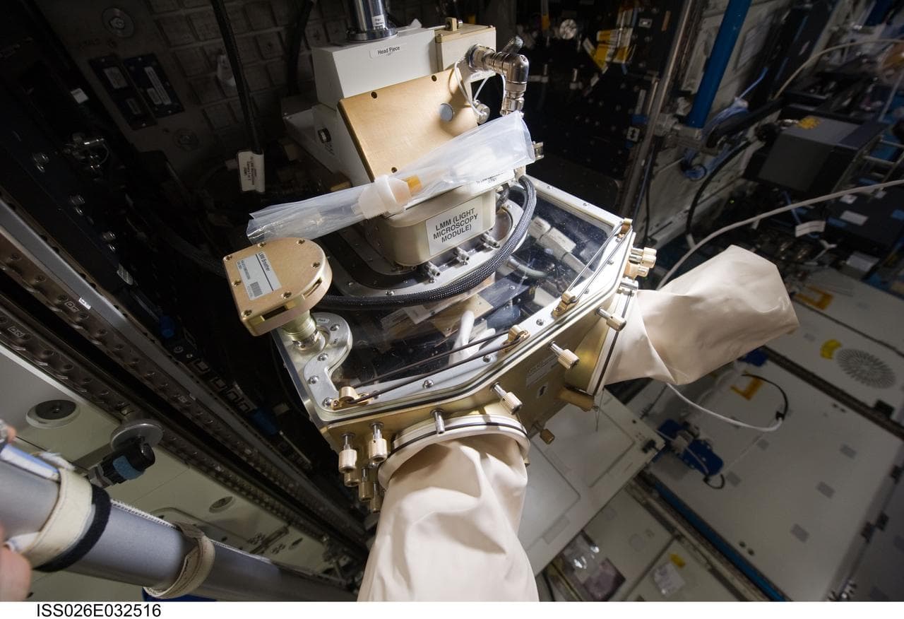 LMM in the U.S. Laboratory