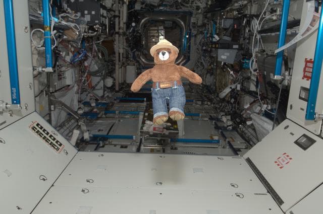 Smokey the Bear Toy floating in the Node 1