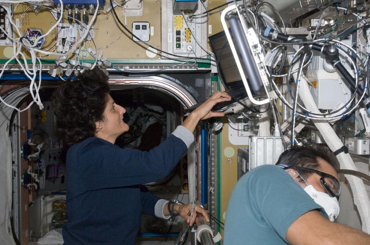 Williams and Acaba in U.S. Laboratory