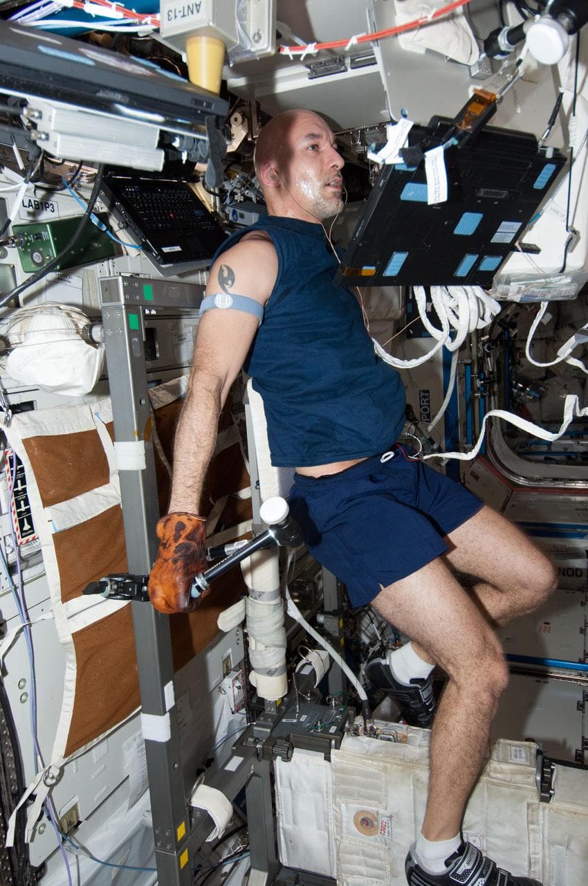 Parmitano in U.S. Laboratory