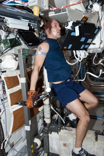 Parmitano in U.S. Laboratory