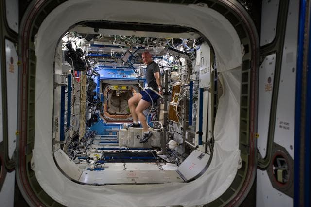 Gerst in U.S. Laboratory