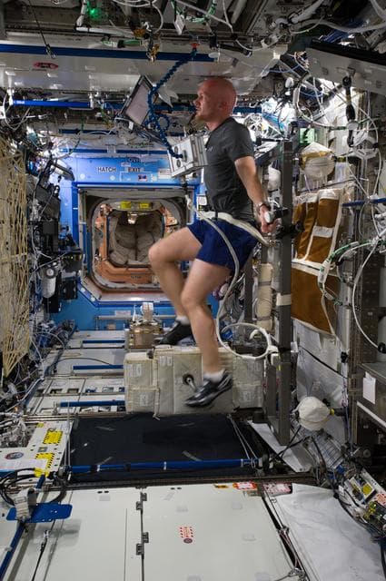 Gerst in U.S. Laboratory