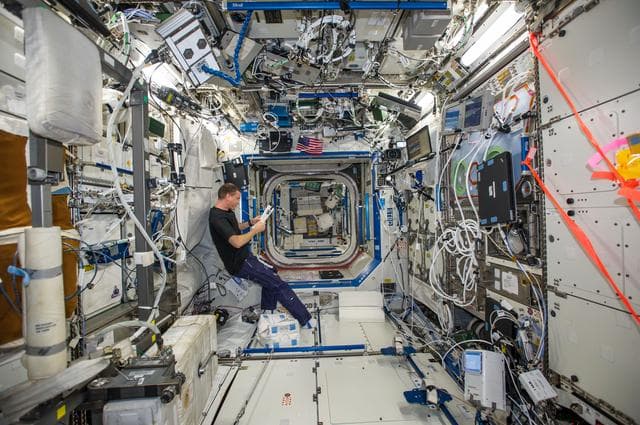 Wiseman in U.S. Laboratory