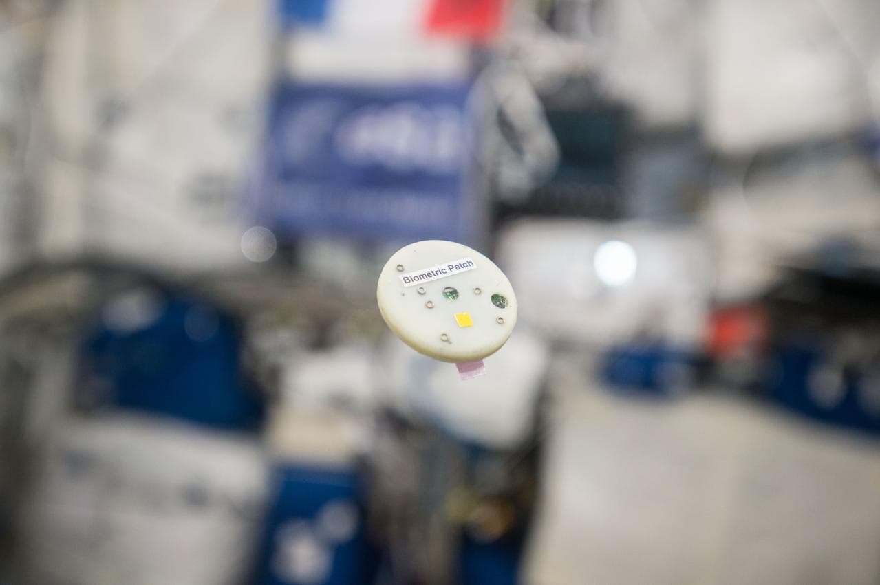 Biometric Patch