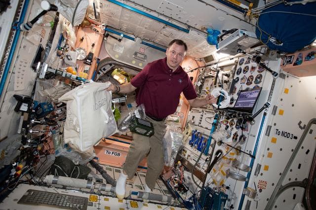 April, astronaut, nick