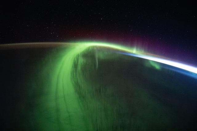 Vivid, aurora, streams