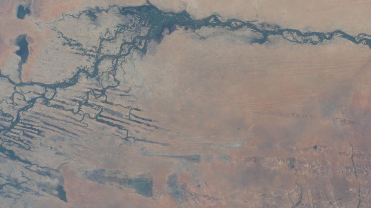 Niger, river, african