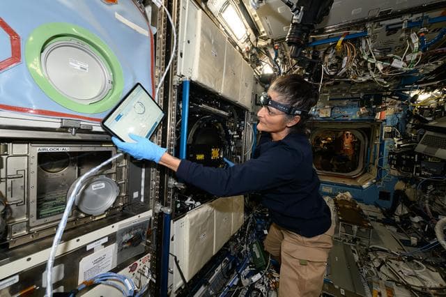 Astronaut, suni, williams