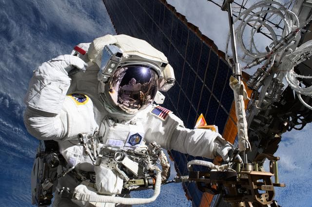 Astronaut, anne, mcclain