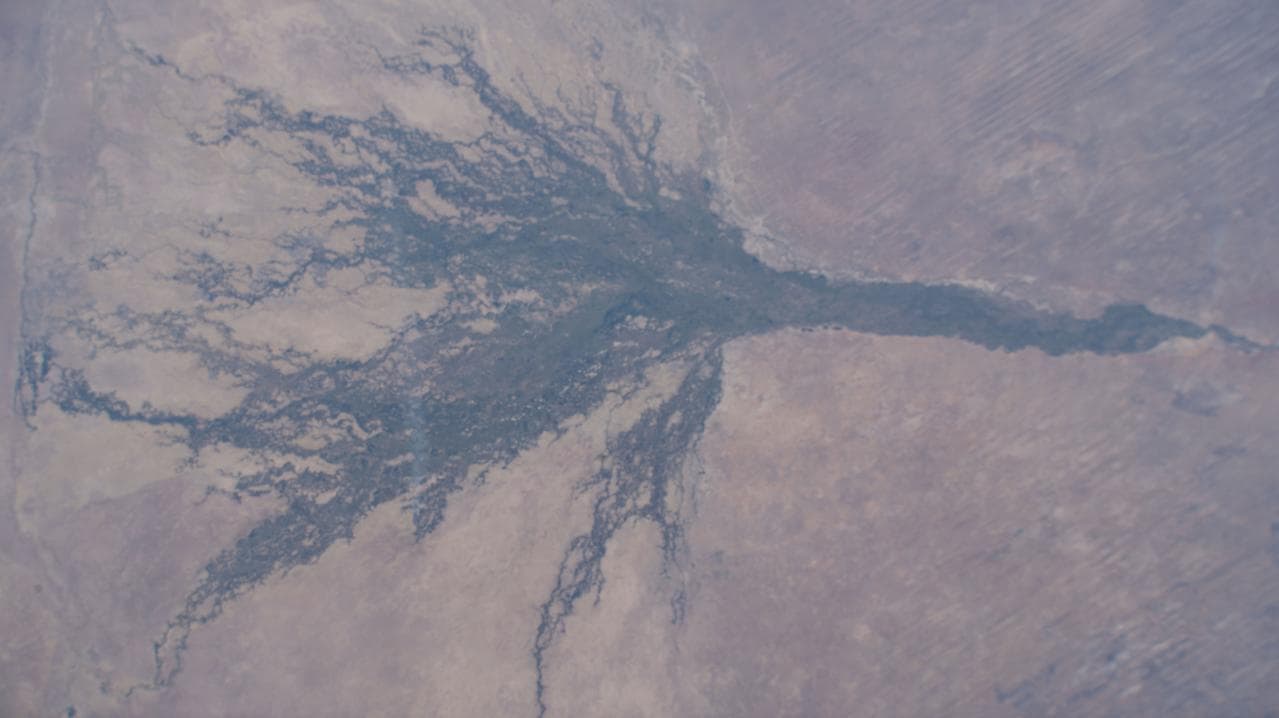 Okavango, delta, formed