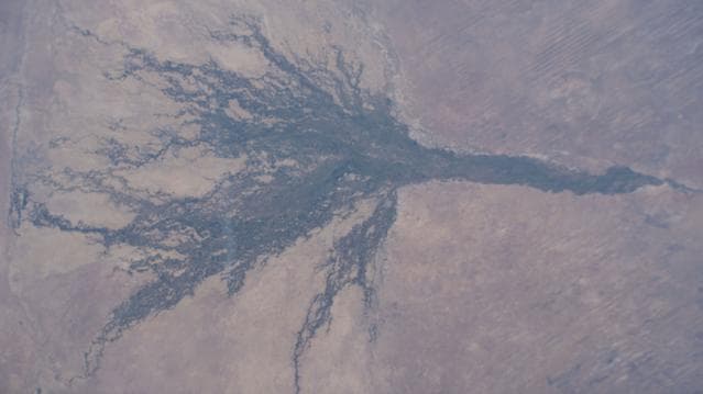 Okavango, delta, formed