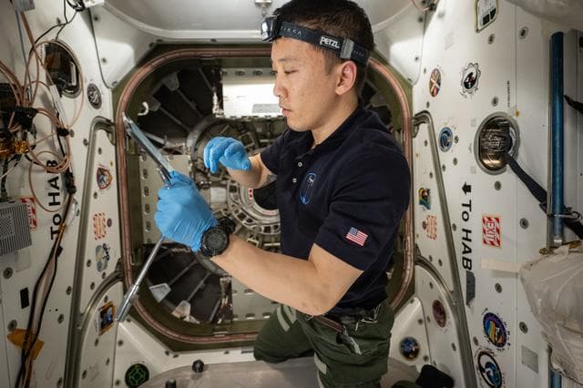 Astronaut, jonny, kim