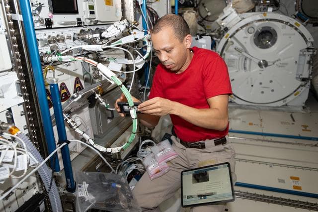 Astronaut, chris, williams