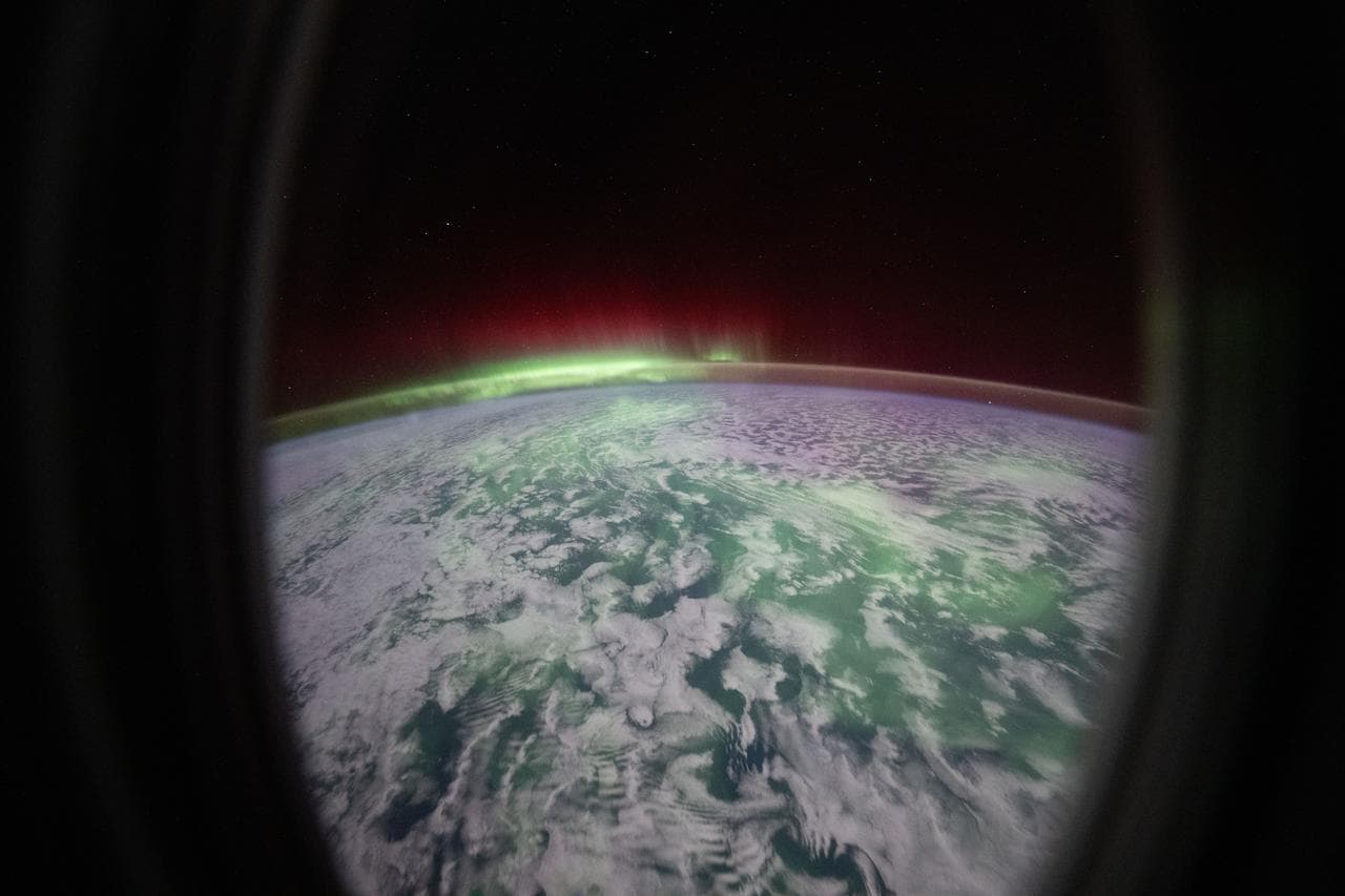 The aurora australis glows above the Indian Ocean