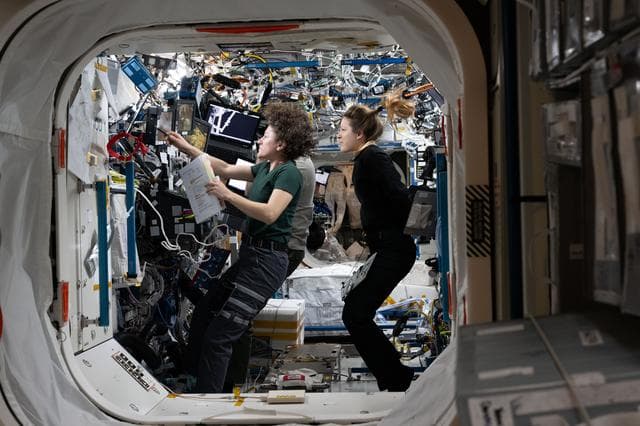 Astronauts, sophie, adenot