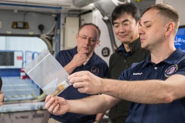 Spacex, crew, members