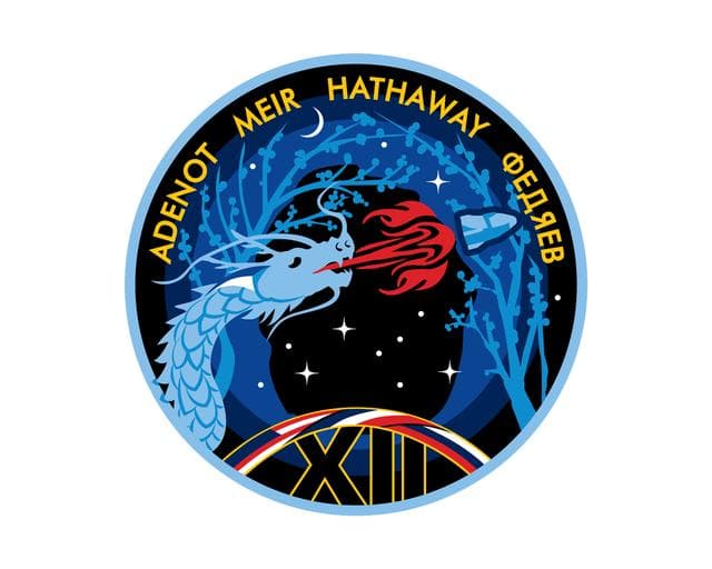 Official, insignia, spacex