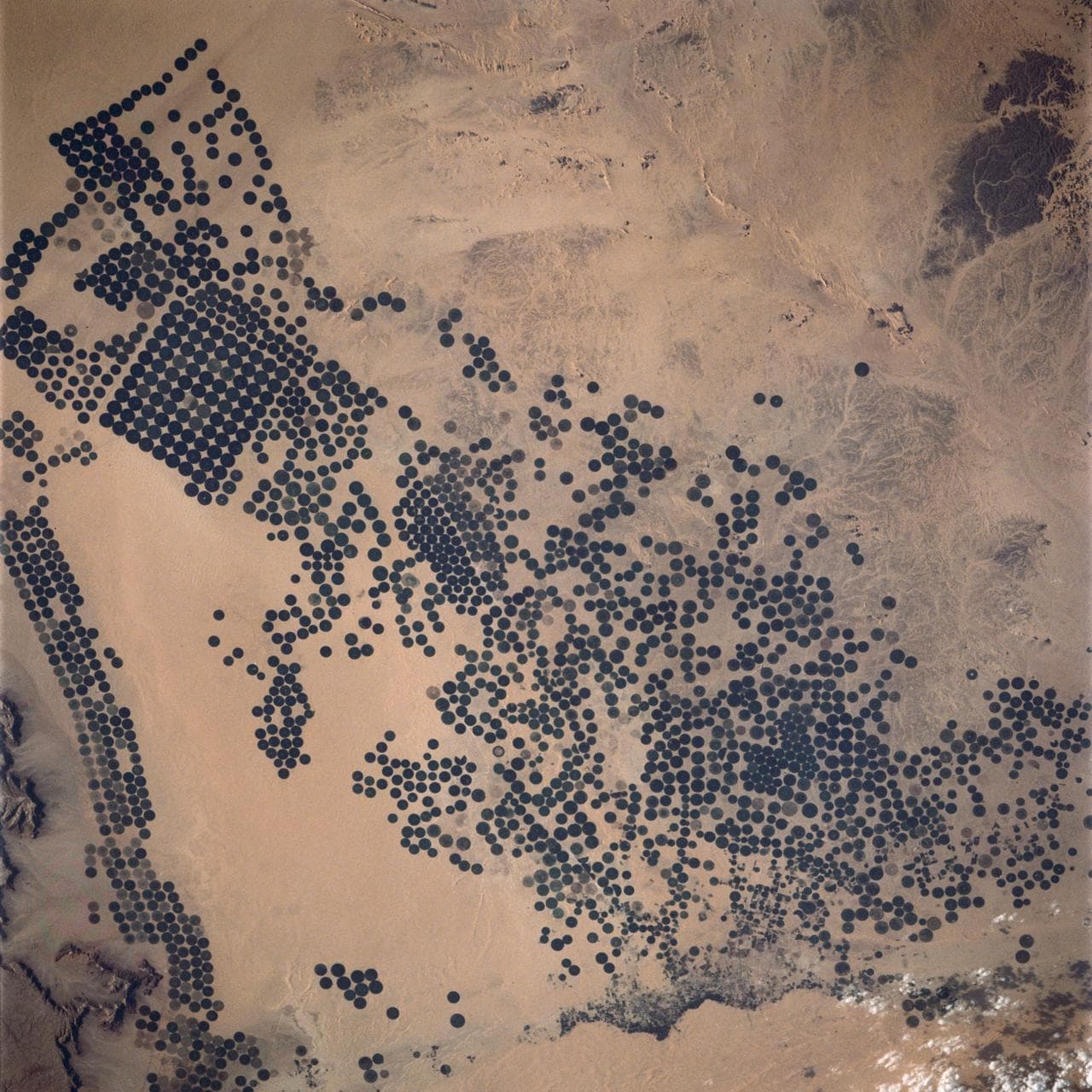 Irrigated Agriculture, Saudi Arabia