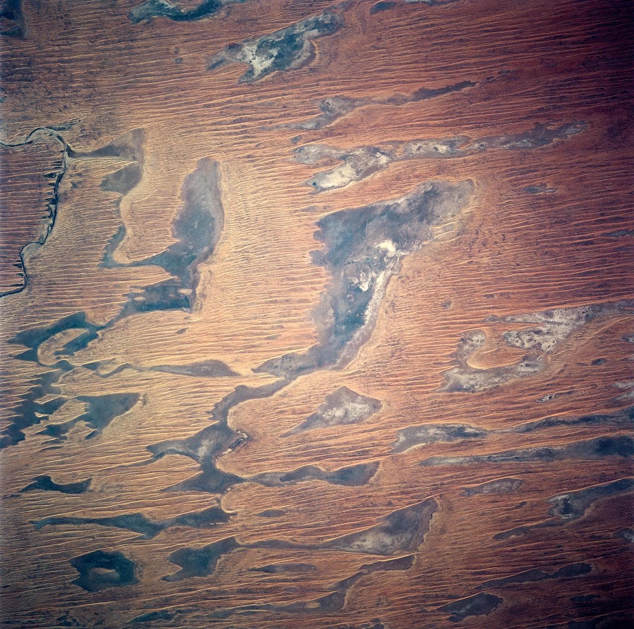 Linear Dunes and Playas, Simson Desert, South Australia, Australia