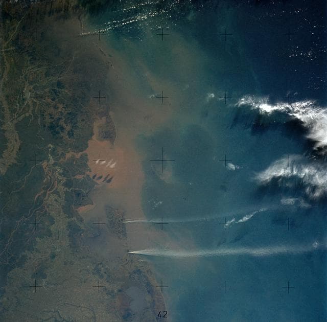 View of Gulf coast area of Louisiana from Skylab space station