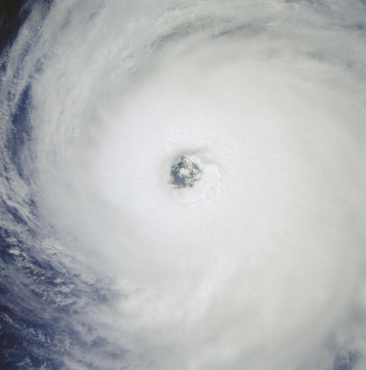 Down Through the Eye of Hurricane Fefa, Pacific Ocean