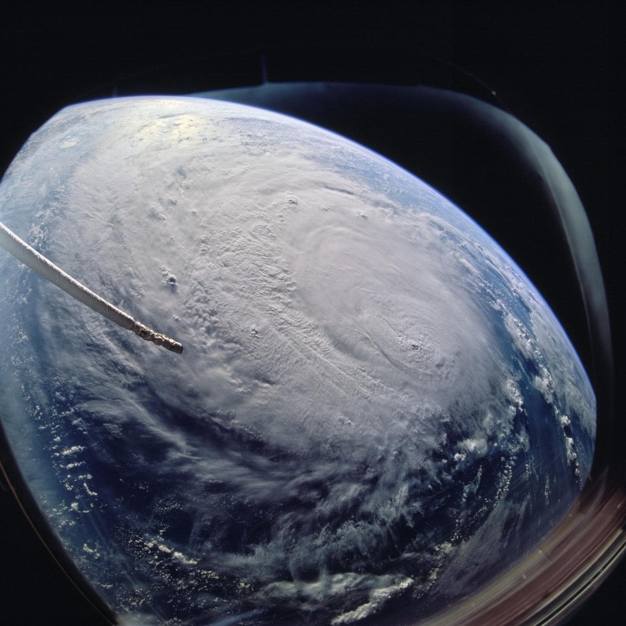 Hurricane Marilyn, Caribbean