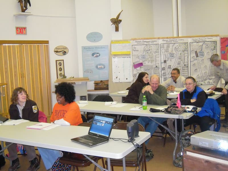 Salt Marsh workshop