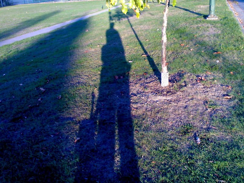 More father and son shadows - Roland in Vancouver (024)