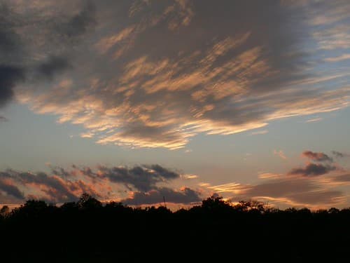 Photo of the Week - Friends of Great Swamp Sunset Walk