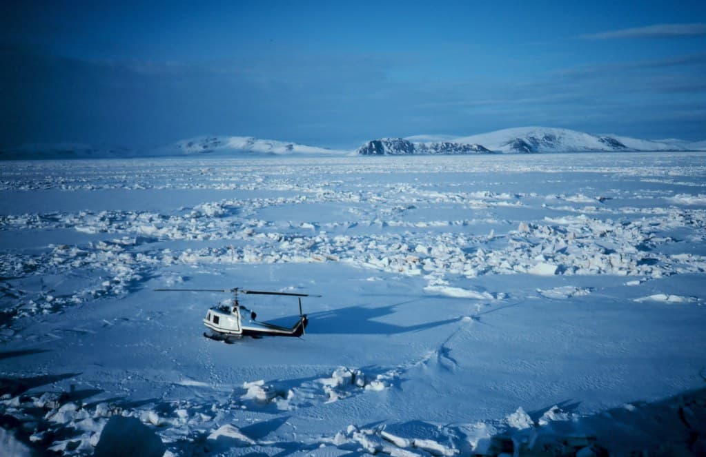 Sledge Island, 1981 (NOAA)