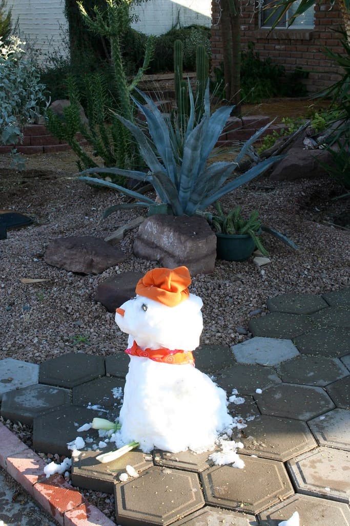 Desert Snow Man