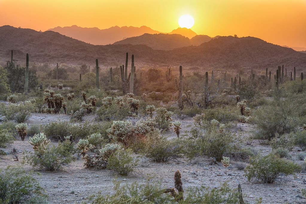 Sonoran Desert National Monument