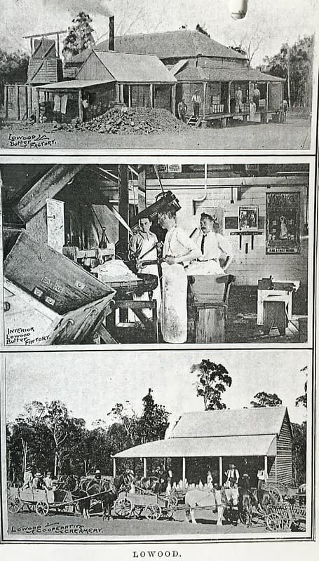 Butter Factory and Co-operative Creamery at Lowood, Qld - 1901